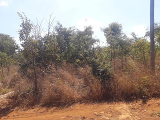 Prime Land for Sale in Chirundu