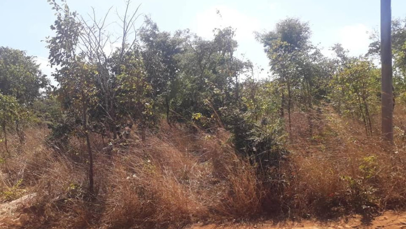 prime-land-for-sale-in-chirundu-big-0