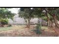spacious-property-with-negotiable-price-small-2