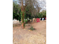 for-sale-3-bedroom-stand-alone-house-in-avondale-wanga-area-small-1