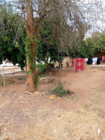 for-sale-3-bedroom-stand-alone-house-in-avondale-wanga-area-big-1