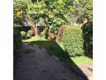 3-bedroom-stand-alone-house-for-sale-in-woodlands-main-small-6