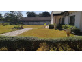 3-bedroom-house-with-2-additional-properties-in-roma-main-small-0