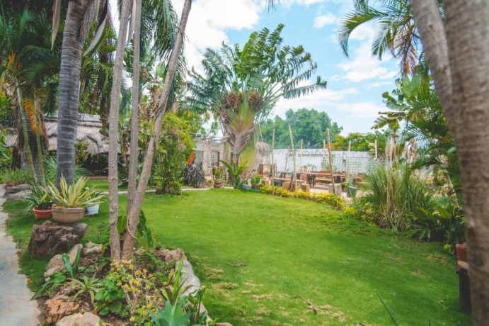 commercial-property-for-sale-in-olympia-big-4