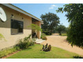 house-for-sale-in-silverest-small-5