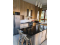 executive-and-luxurious-5-bedroom-house-in-roma-park-small-7