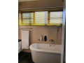executive-and-luxurious-5-bedroom-house-in-roma-park-small-1