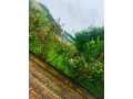 modern-4-bedroom-house-with-flats-in-chudleigh-small-1