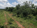 6-acres-land-for-sale-in-shimabala-small-2