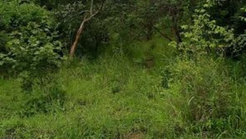 6-acres-land-for-sale-in-shimabala-big-0