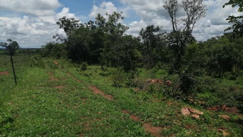 6-acres-land-for-sale-in-shimabala-big-1