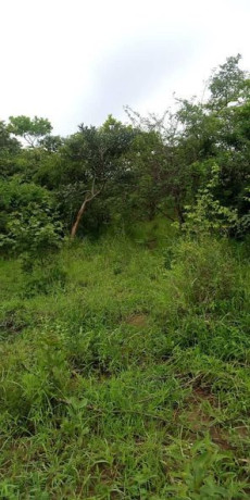 6-acres-land-for-sale-in-shimabala-big-0