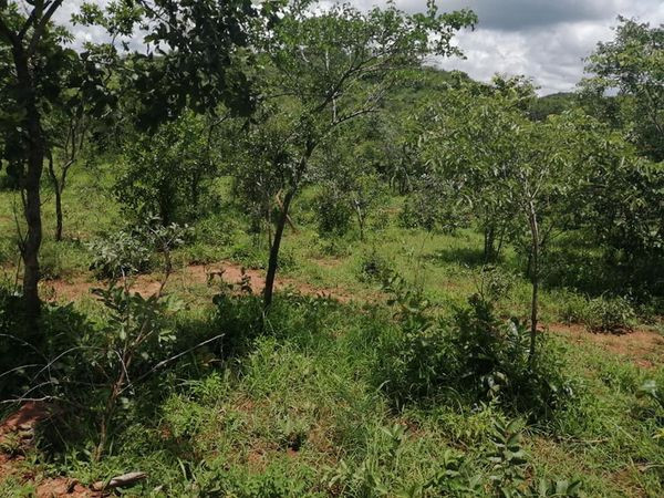 6-acres-land-for-sale-in-shimabala-big-3