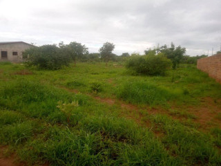 Plot for Sale in Chalala New Kasama