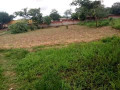 plot-for-sale-in-zanimuone-west-small-1