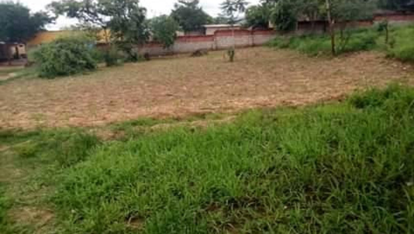 plot-for-sale-in-zanimuone-west-big-1