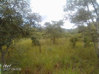 5 Acres Property for Sale in Makeni Koonga