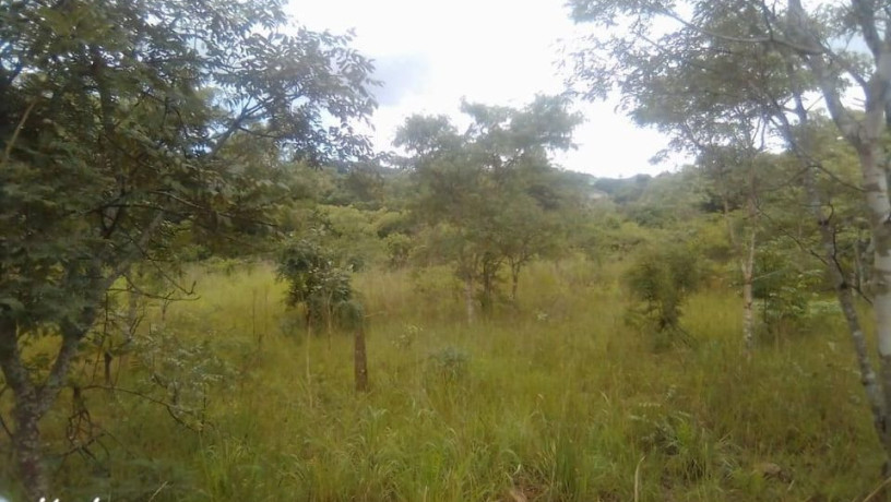 5-acres-property-for-sale-in-makeni-koonga-big-0