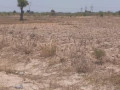 5-acres-of-virgin-land-in-kafue-small-0