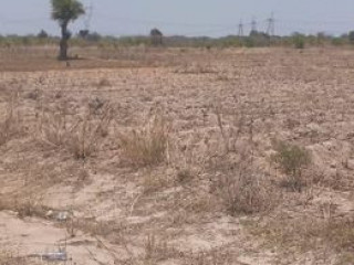 5 Acres of Virgin Land in Kafue