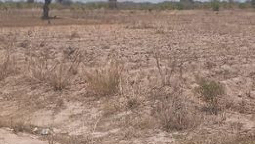 5-acres-of-virgin-land-in-kafue-big-0