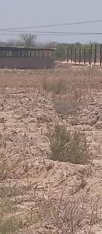 5-acres-of-virgin-land-in-kafue-big-1