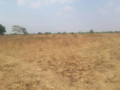 genuine-land-available-in-lusaka-small-3