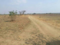 genuine-land-available-in-lusaka-small-1