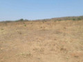 genuine-land-available-in-lusaka-small-2