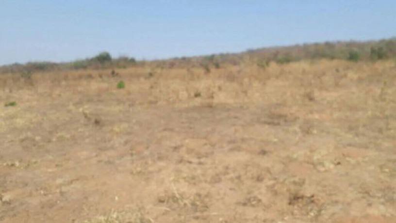 genuine-land-available-in-lusaka-big-2