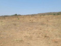genuine-land-available-in-lusaka-small-2