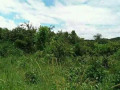 5-acres-of-land-for-sale-in-chilanga-mapepe-small-2