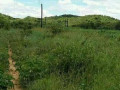 5-acres-of-land-for-sale-in-chilanga-mapepe-small-1