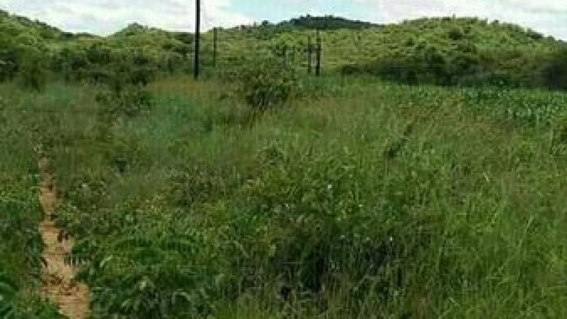 5-acres-of-land-for-sale-in-chilanga-mapepe-big-0