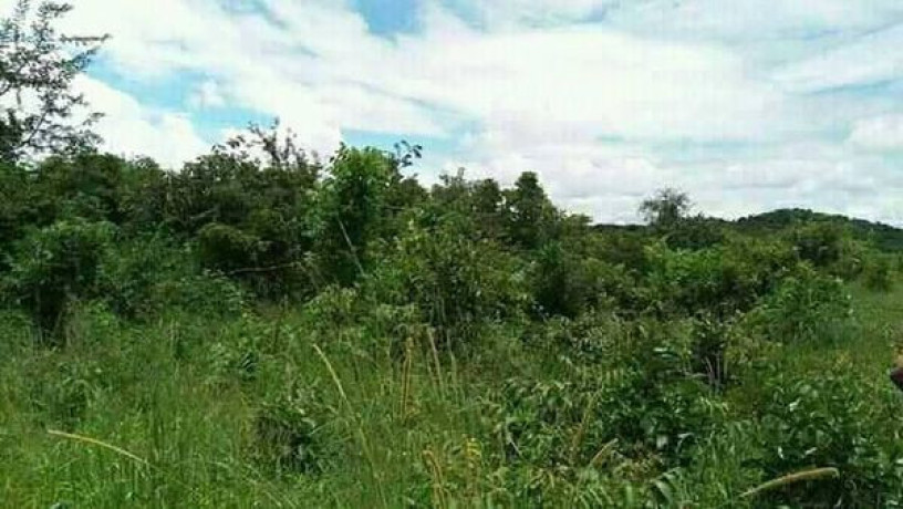 5-acres-of-land-for-sale-in-chilanga-mapepe-big-2