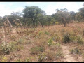 2400sqm-plot-for-sale-in-state-lodge-area-lusaka-small-4