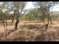 2400sqm-plot-for-sale-in-state-lodge-area-lusaka-small-2