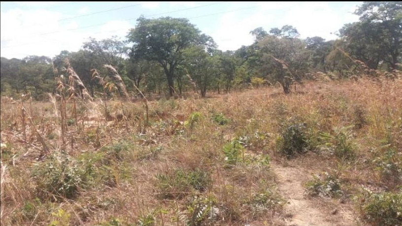 2400sqm-plot-for-sale-in-state-lodge-area-lusaka-big-4