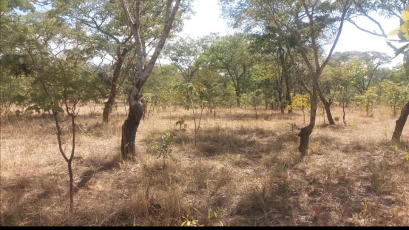 2400sqm-plot-for-sale-in-state-lodge-area-lusaka-big-2