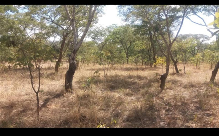 2400sqm-plot-for-sale-in-state-lodge-area-lusaka-big-2
