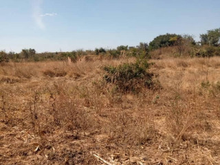 plots-for-sale