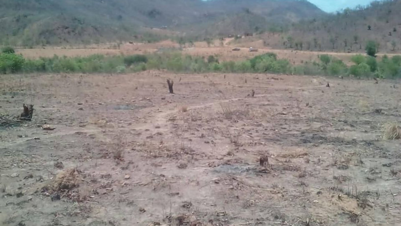 traditional-farm-land-for-sale-big-0