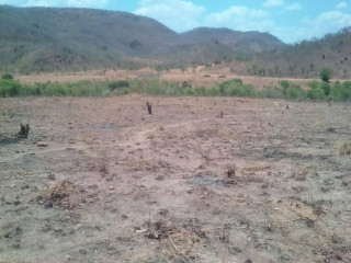 traditional-farm-land-for-sale