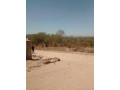 meanwood-ibex-plot-for-sale-small-0