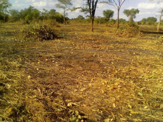one-hectare-land-in-monze-with-frontage-on-livingstone-road
