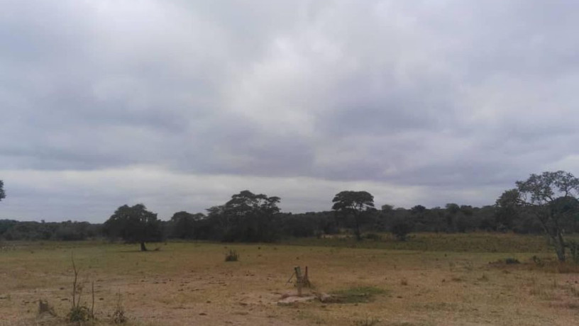 farm-for-sale-in-chisamba-big-5