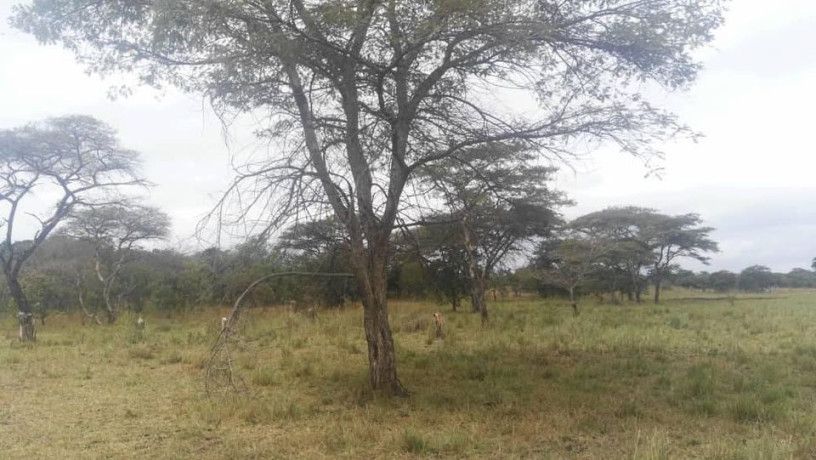 farm-for-sale-in-chisamba-big-0