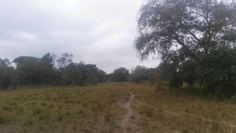 farm-for-sale-in-chisamba-big-1