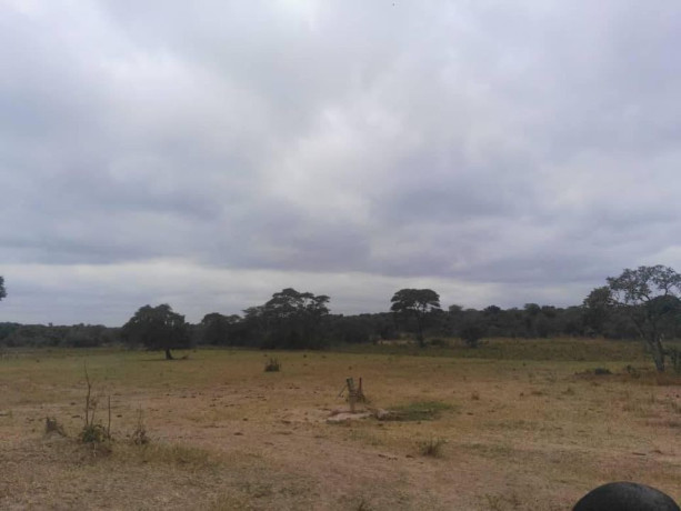 farm-for-sale-in-chisamba-big-3