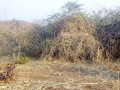 traditional-land-for-sale-small-4